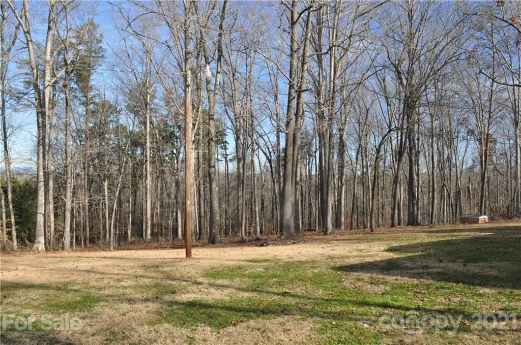 1011 Redland Road Landrum, SC 29356 - Photo 11 of 45 a view of a backyard with large trees