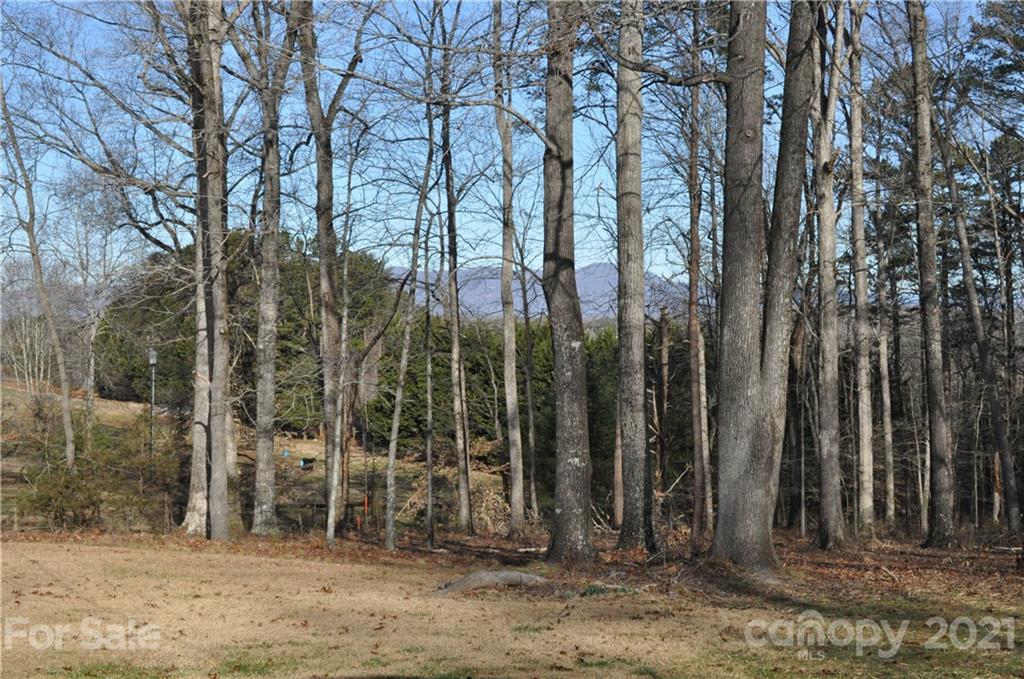 1011 Redland Road Landrum, SC 29356 - Photo 12 of 45 a backyard of a house with lots of green space