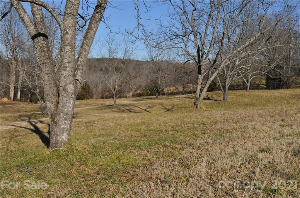 1011 Redland Road Landrum, SC 29356 - Photo 13 of 45 a backyard of apartments with large trees