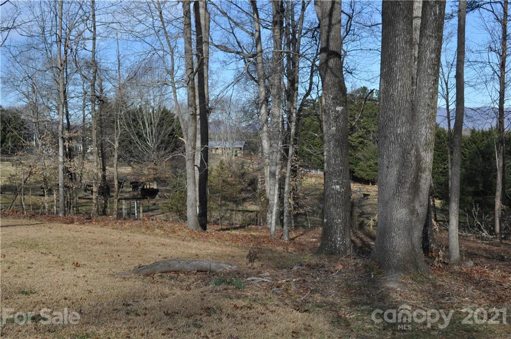 1011 Redland Road Landrum, SC 29356 - Photo 16 of 45 a view of a forest filled with trees