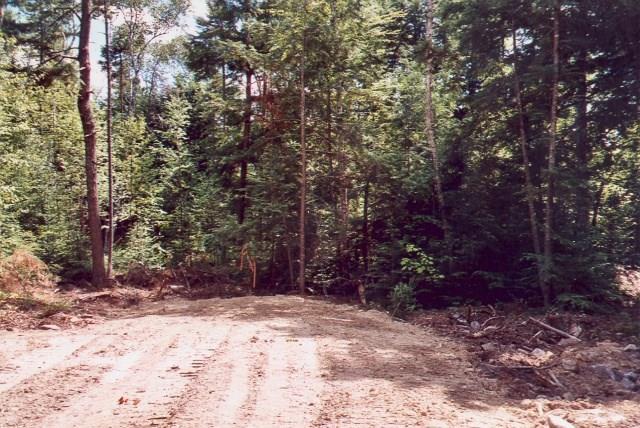 Tbd Lot 9 Tbd Road Lincoln, ME 04457 - Photo 4 of 4 Photo