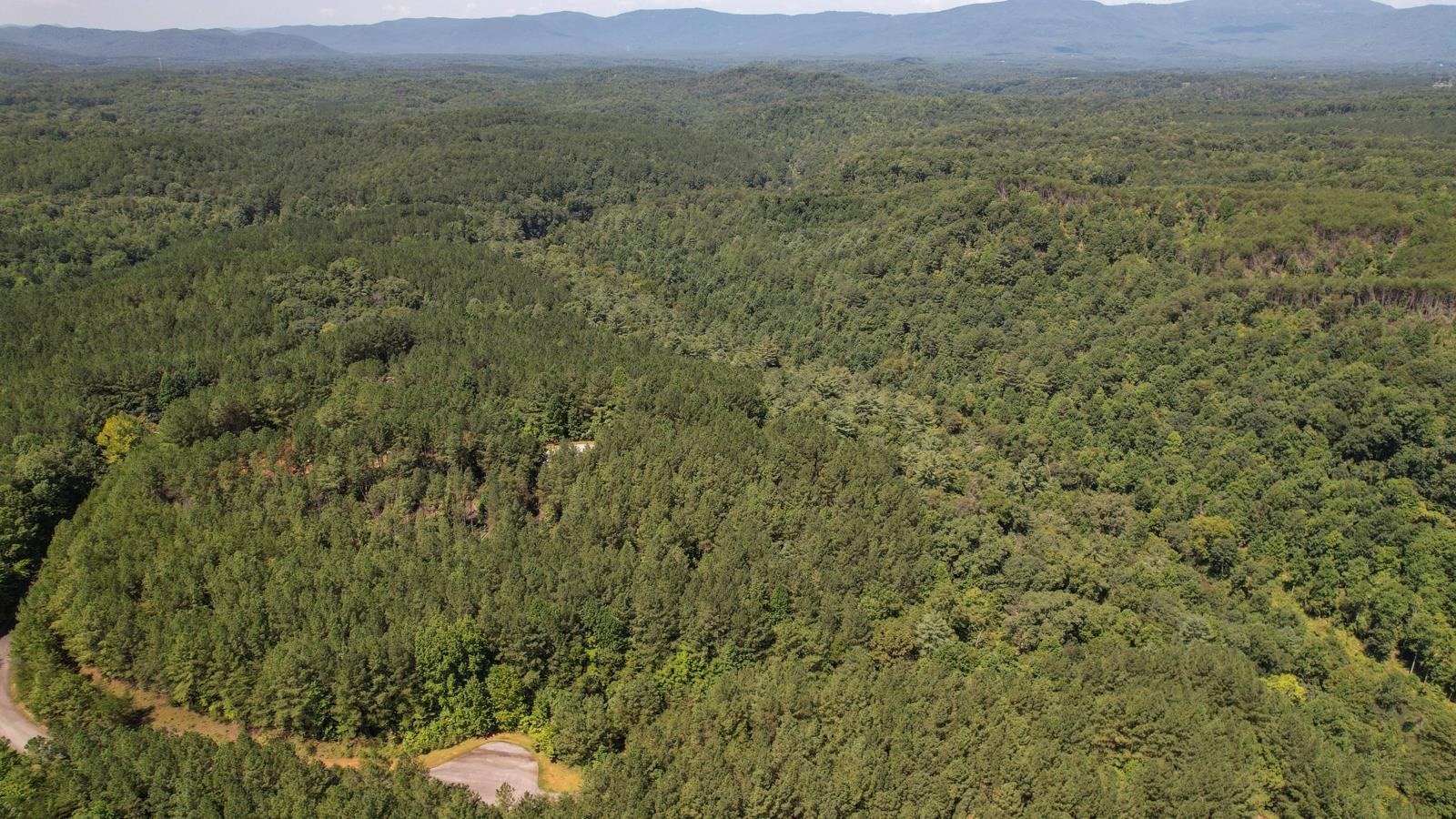 0 Contuck Ln Mill Spring Mill Spring, NC 28756 - Photo 26 of 37 Gallery Image 26