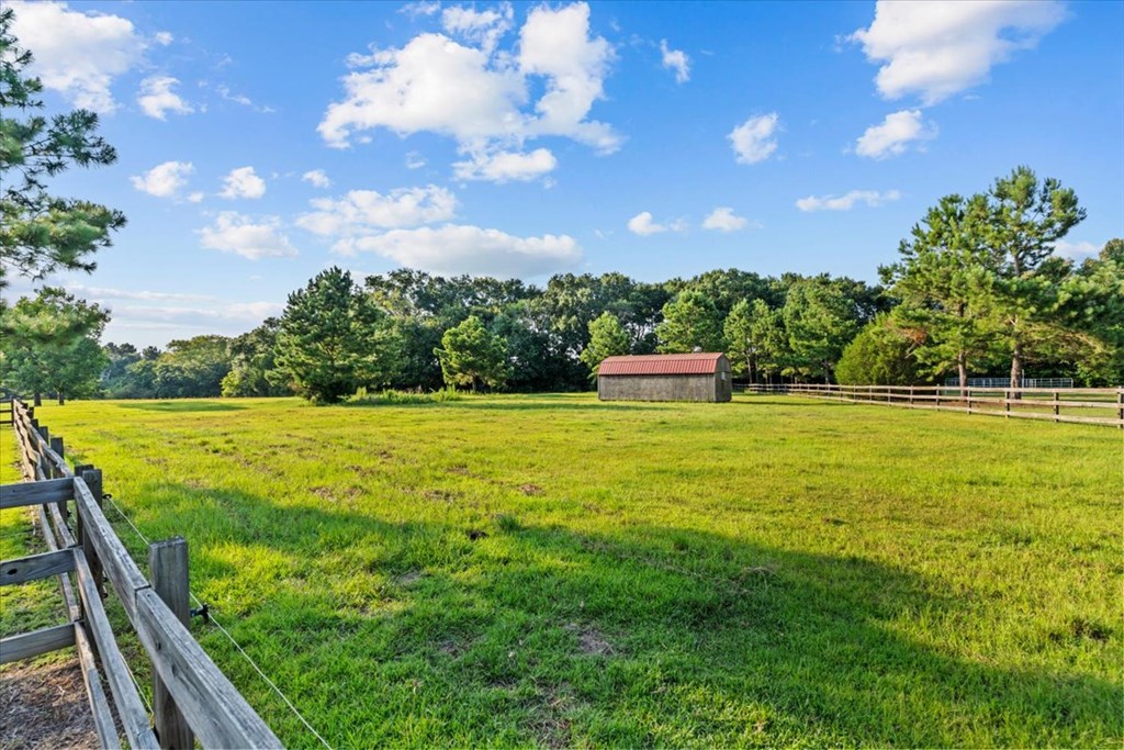 3115 Cumbie Road Newton, AL 36352 - Photo 46 of 61