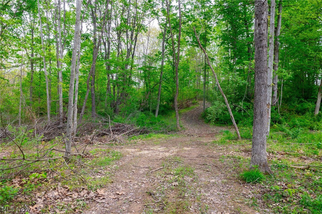 37795 Sheepskin Ridge Road Lower Salem, OH 45745 - Photo 25 of 31