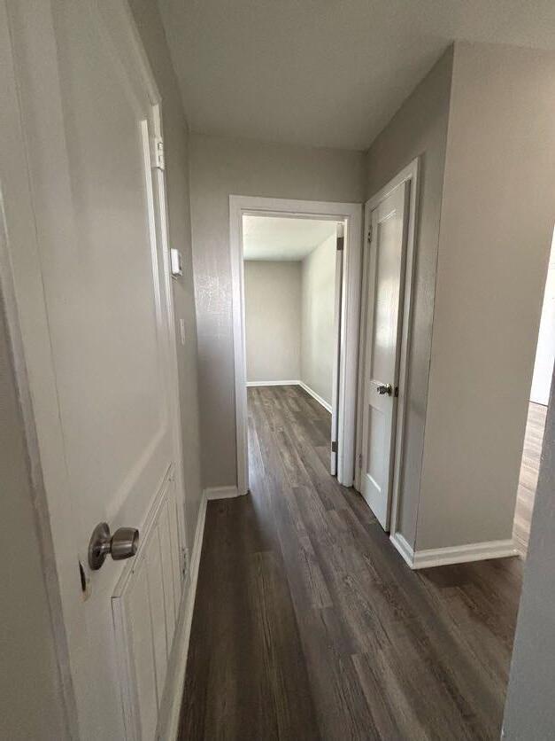 110 3rd Street, Unit A Augusta, GA 30901 - Photo 6 of 9 IMG_8555