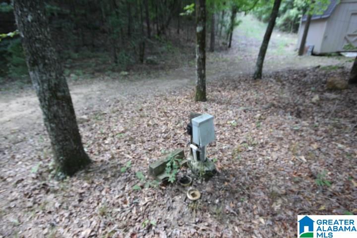 3440 Bulldog Bend Road Brierfield, AL 35035 - Photo 11 of 23