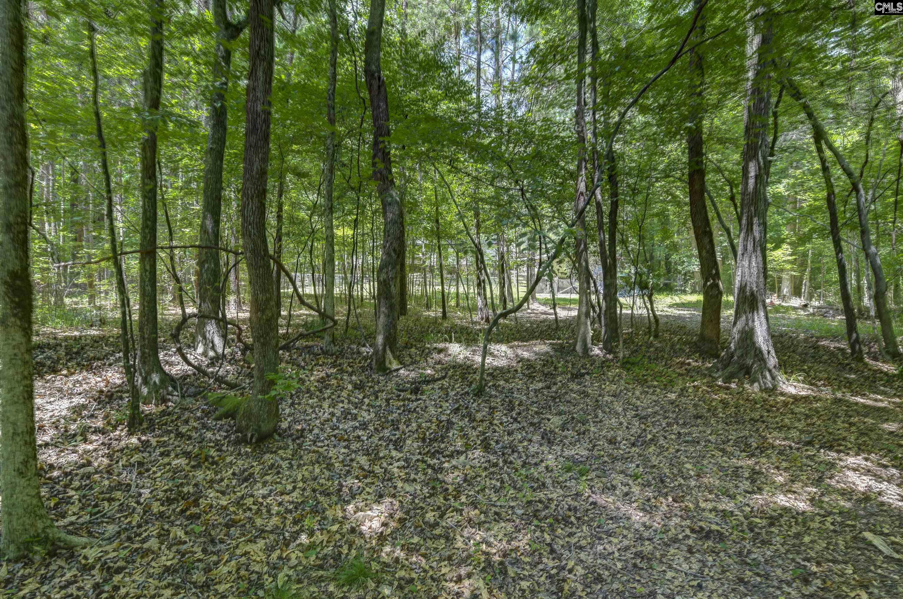 317 Horse Cove Road Gilbert, SC 29054 - Photo 28 of 86