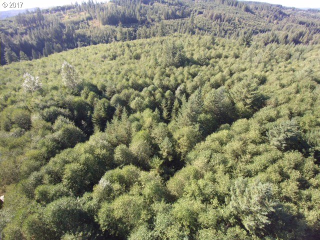 0 Northeast Thompson Road Yacolt, WA 98675 - Photo 20 of 23 Gallery Image 20
