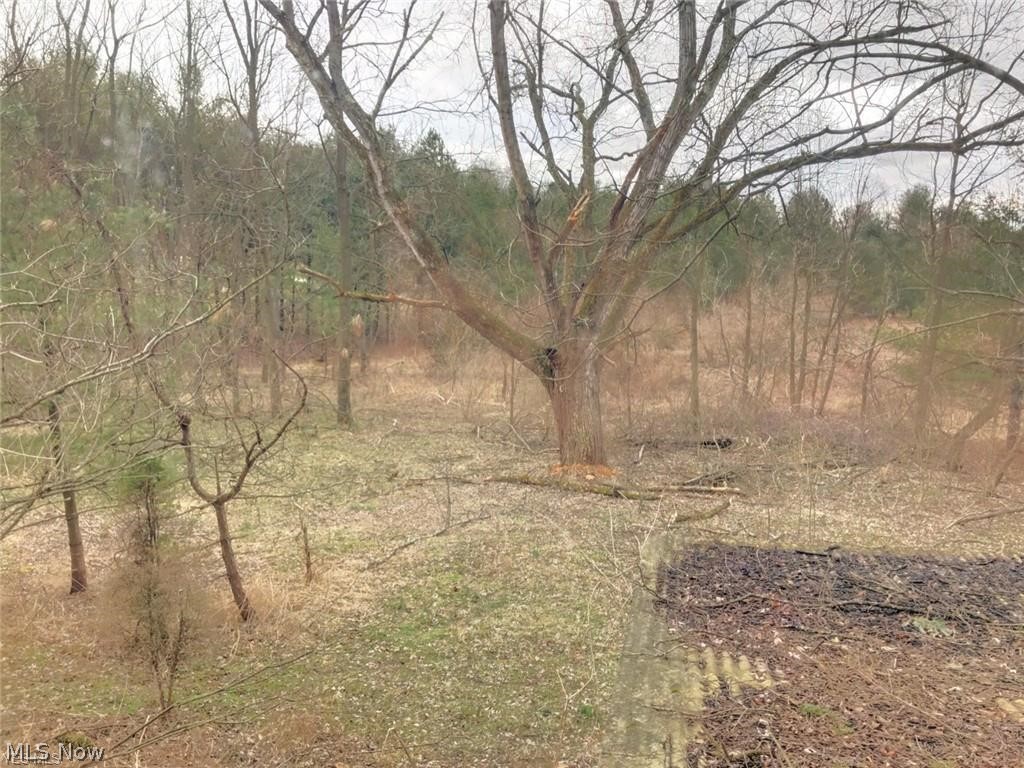 5916 Middle Run Road Dover, OH 44622 - Photo 31 of 35 Gallery Image 31