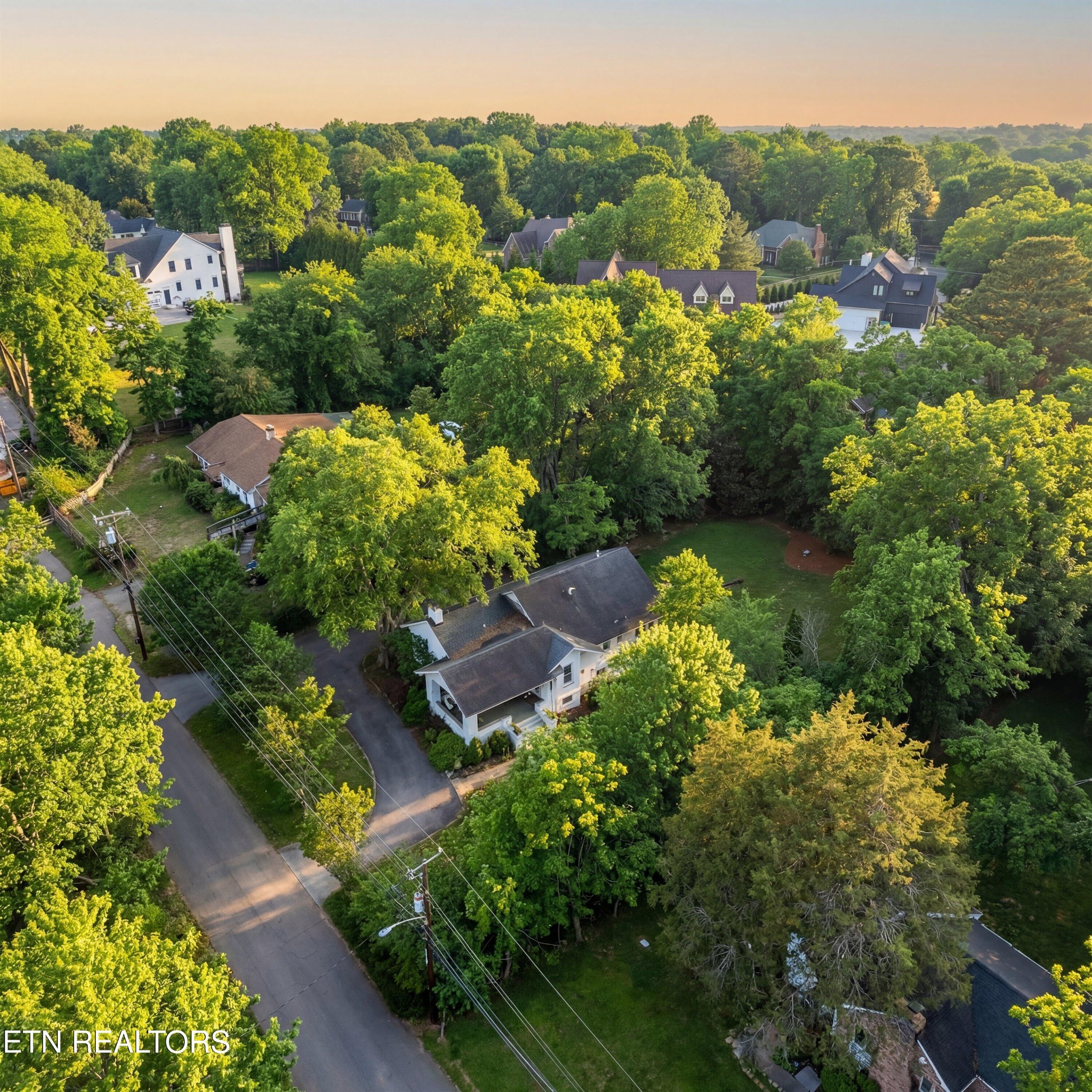 6911 Nubbin Ridge Drive Knoxville, TN 37919 - Photo 41 of 46 an aerial view of a house with yard