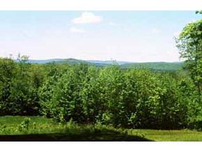 21 Tuttle Hill Road Canaan, NH 03741 - Photo 8 of 8 Gallery Image 8