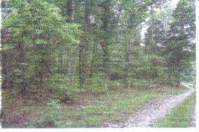 898 Dryden Road Sadieville, KY 40370 - Photo 3 of 9 Photo 3
