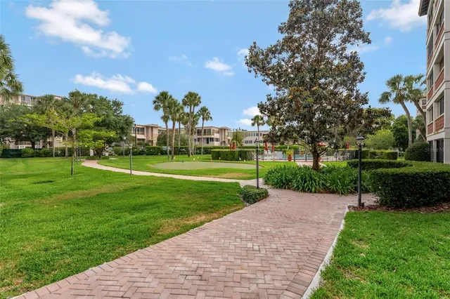 a view of a park with large trees