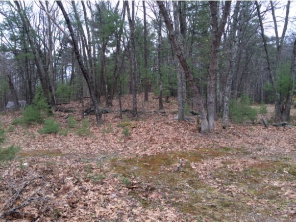 315 Windham Road Pelham, NH 03076 - Photo 1 of 1