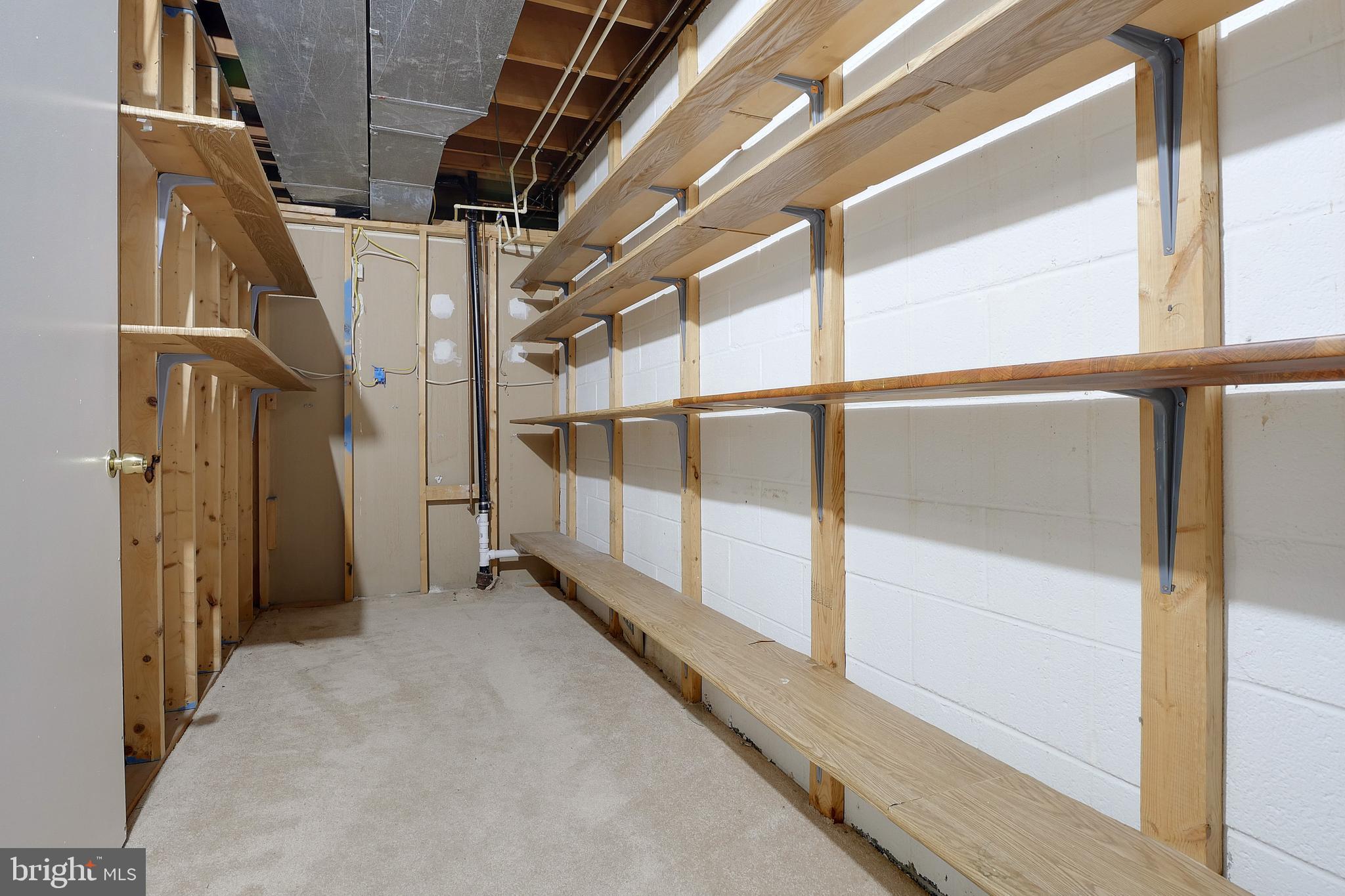 3223 Riverview Drive Triangle, VA 22172 - Photo 56 of 81 Lower Level Storage Room