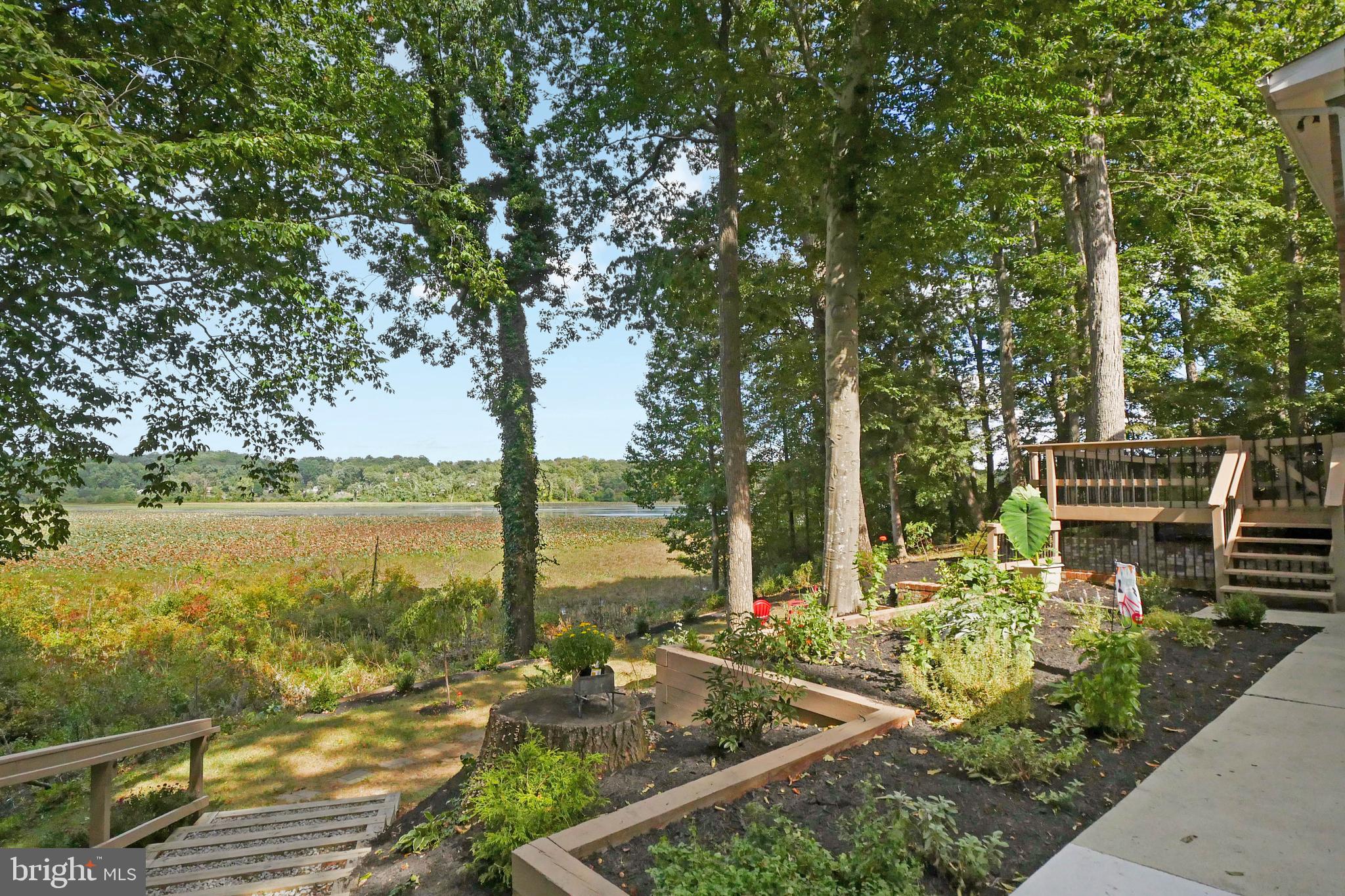 3223 Riverview Drive Triangle, VA 22172 - Photo 65 of 81 Back Yard