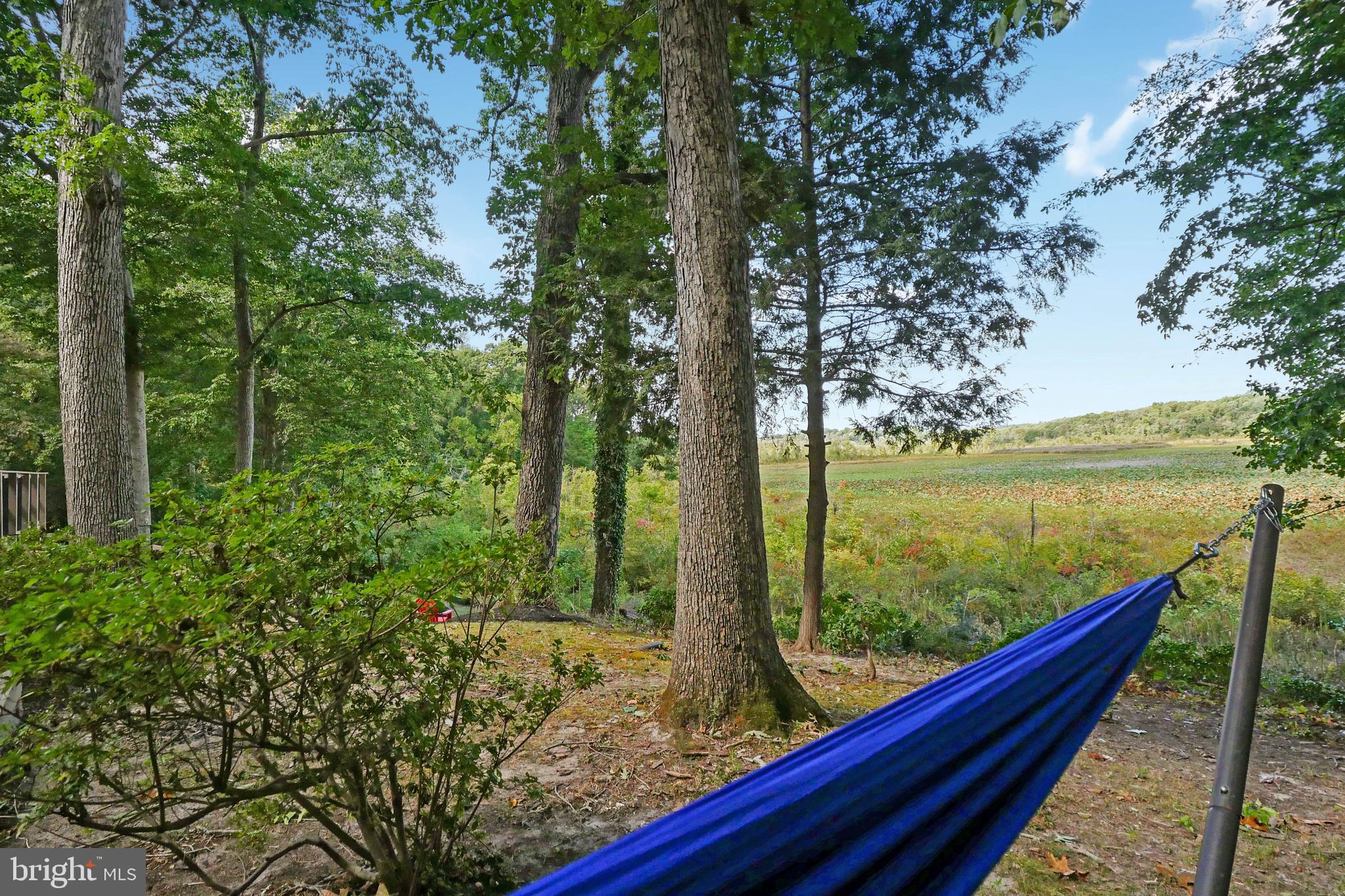 3223 Riverview Drive Triangle, VA 22172 - Photo 67 of 81 Tons of Space to Relax