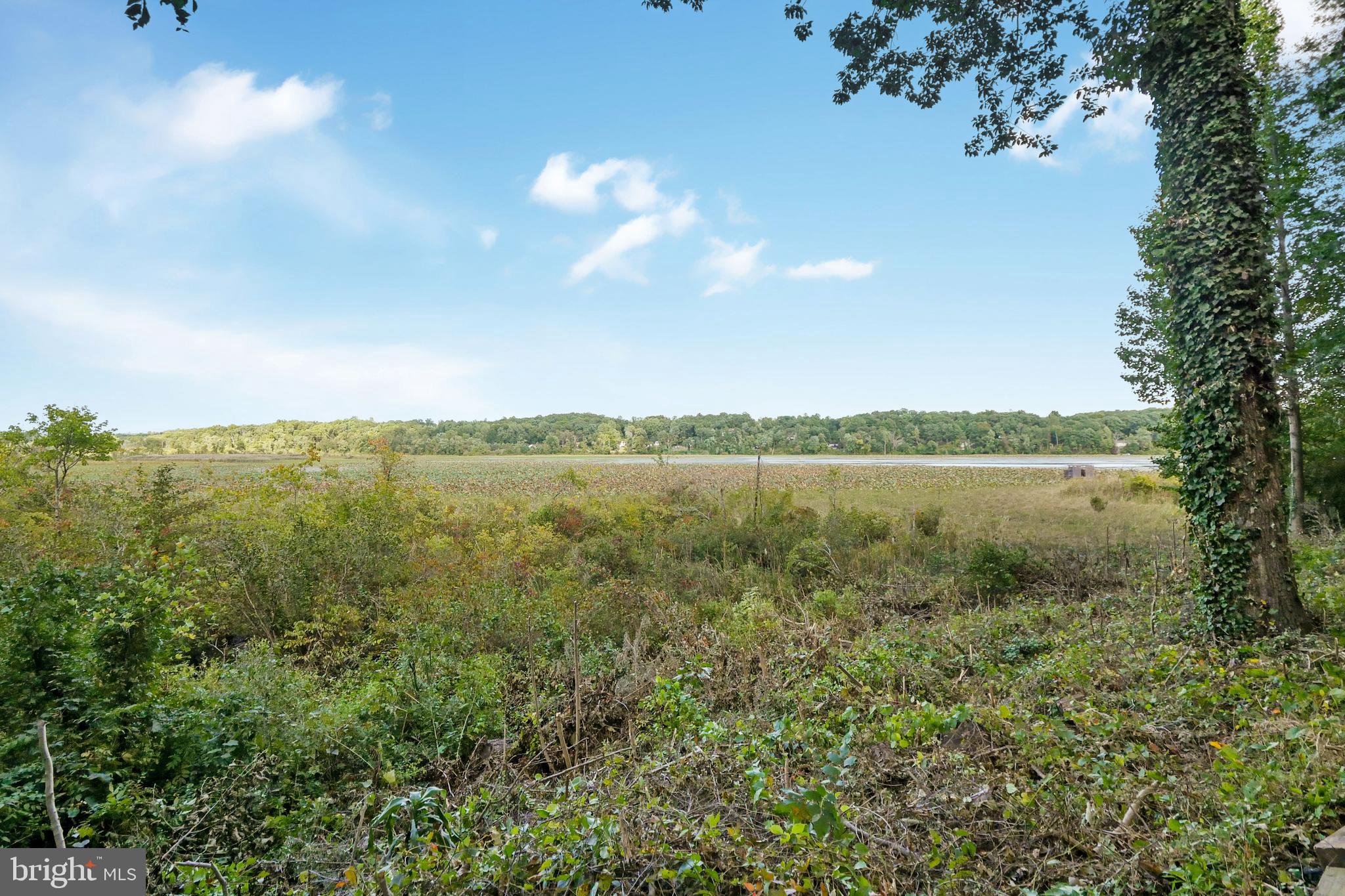 3223 Riverview Drive Triangle, VA 22172 - Photo 68 of 81 Stunning Panoramic Views