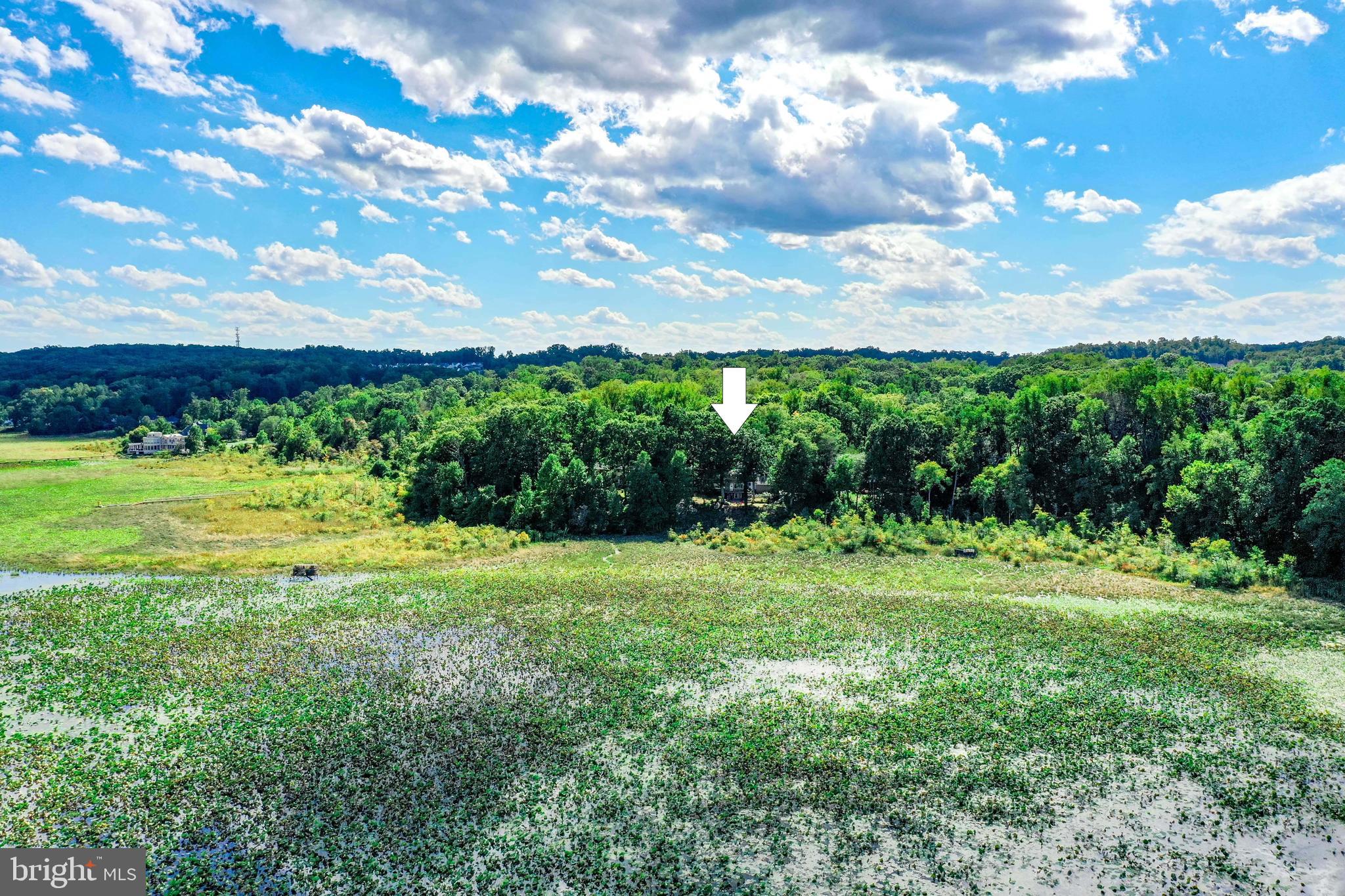 3223 Riverview Drive Triangle, VA 22172 - Photo 70 of 81 Aerial View of Home