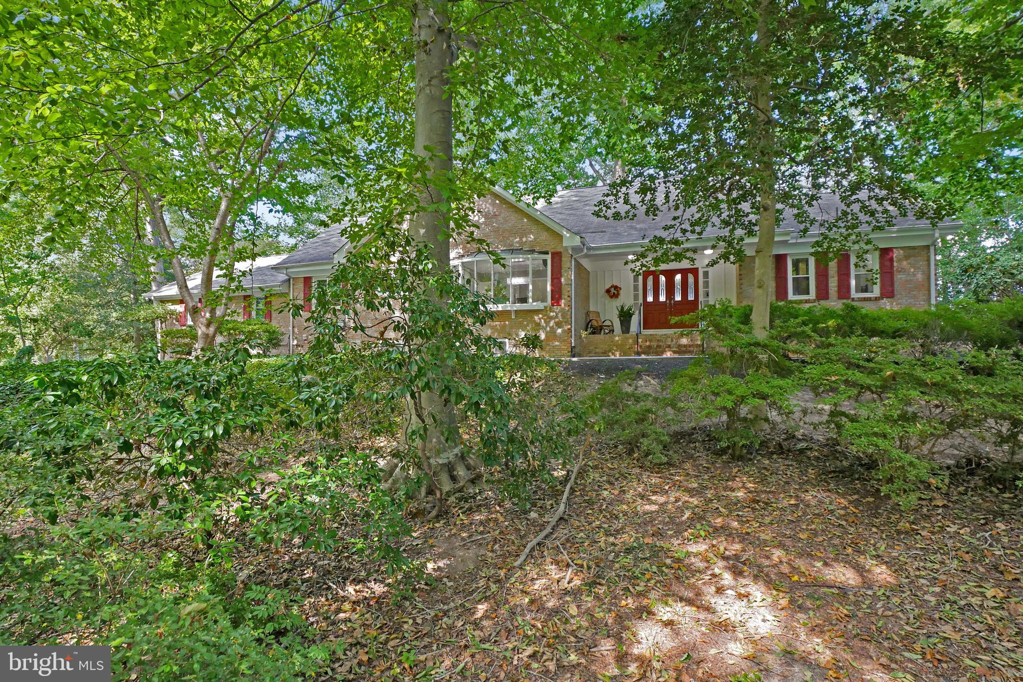 3223 Riverview Drive Triangle, VA 22172 - Photo 79 of 81 Private Wooded Lot