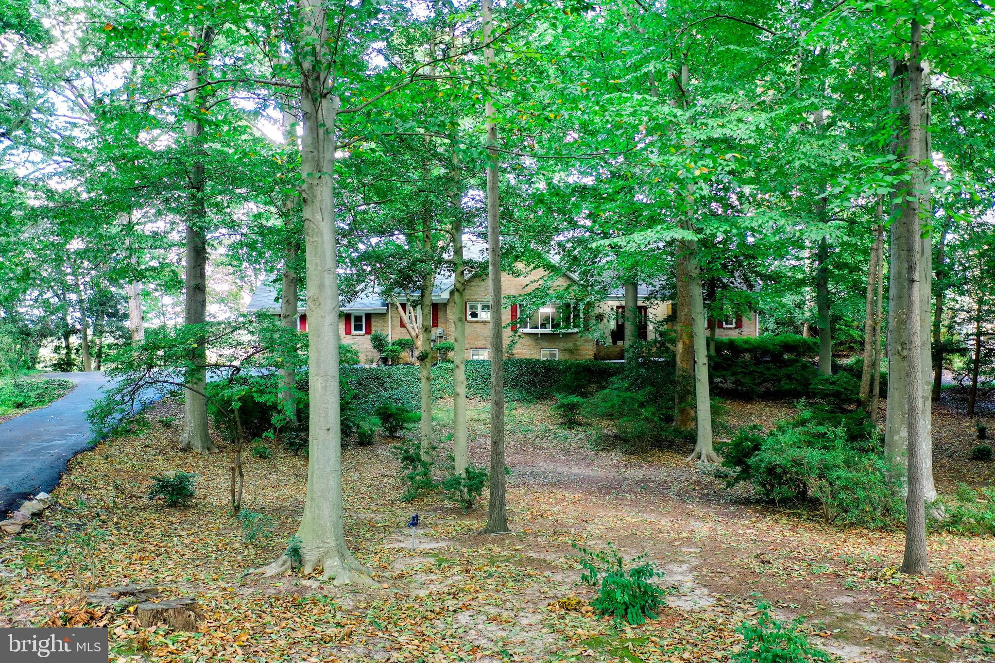 3223 Riverview Drive Triangle, VA 22172 - Photo 80 of 81 Huge Wooded Lot w/Tons of Privacy