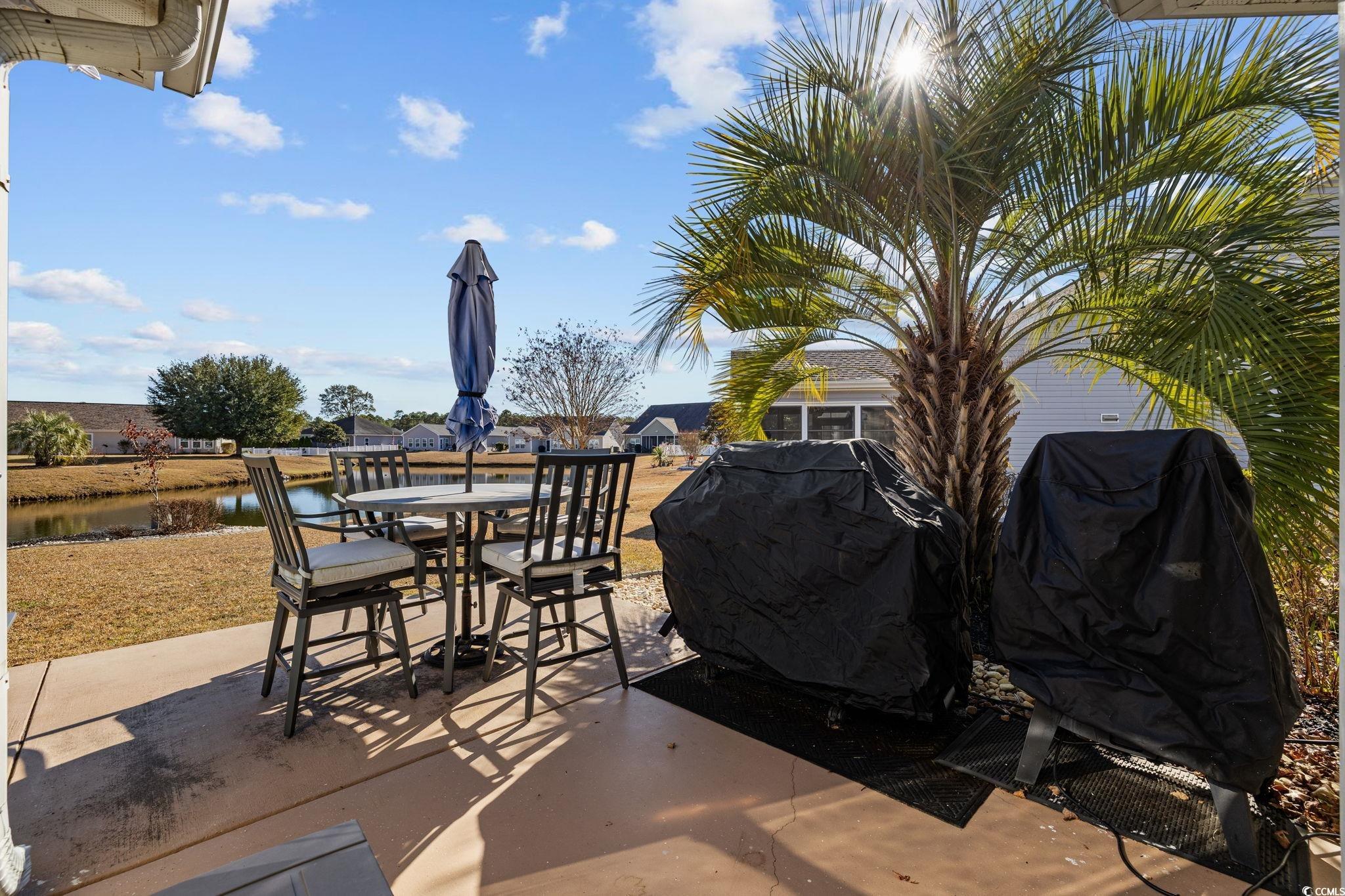 1427 Half Penny Loop Conway, SC 29526 - Photo 31 of 40