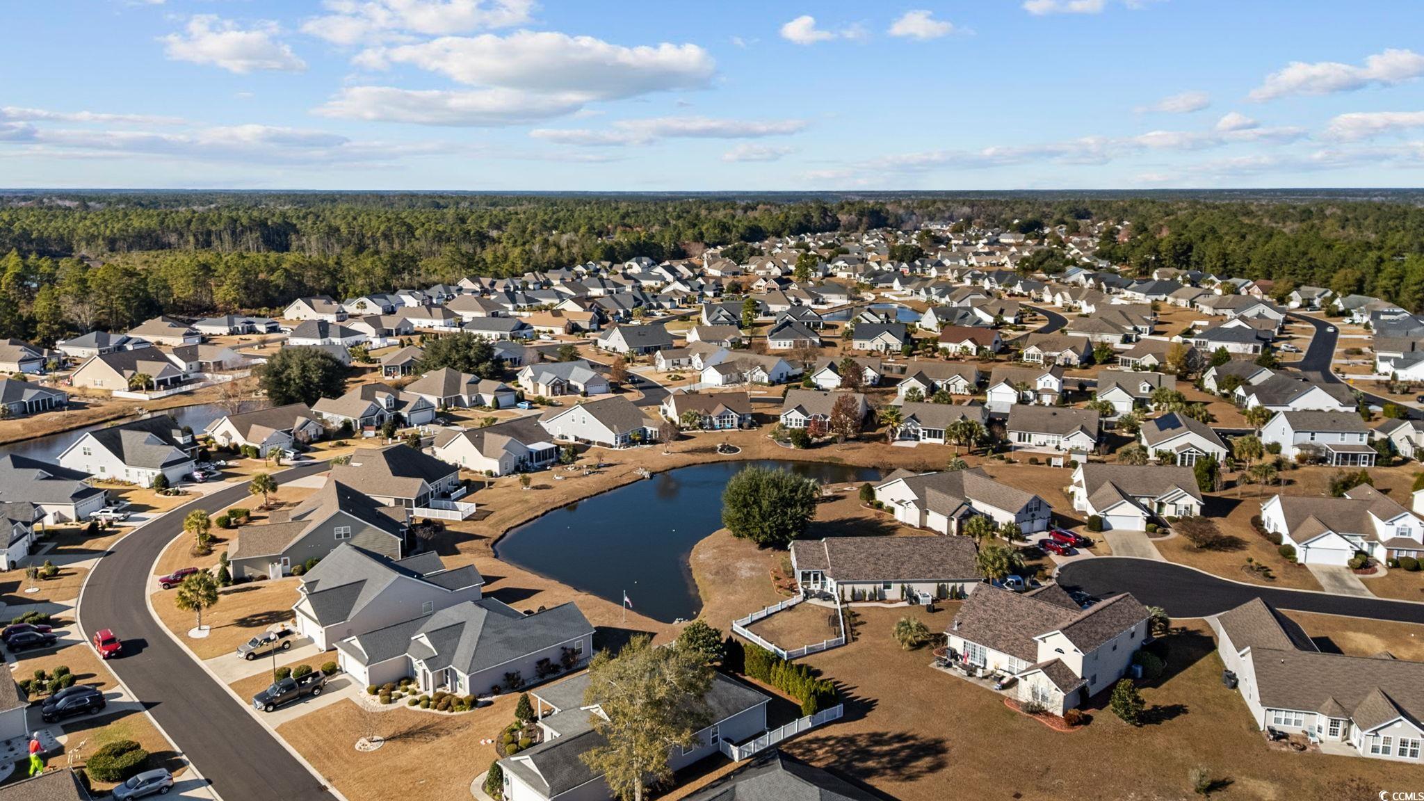 1427 Half Penny Loop Conway, SC 29526 - Photo 34 of 40