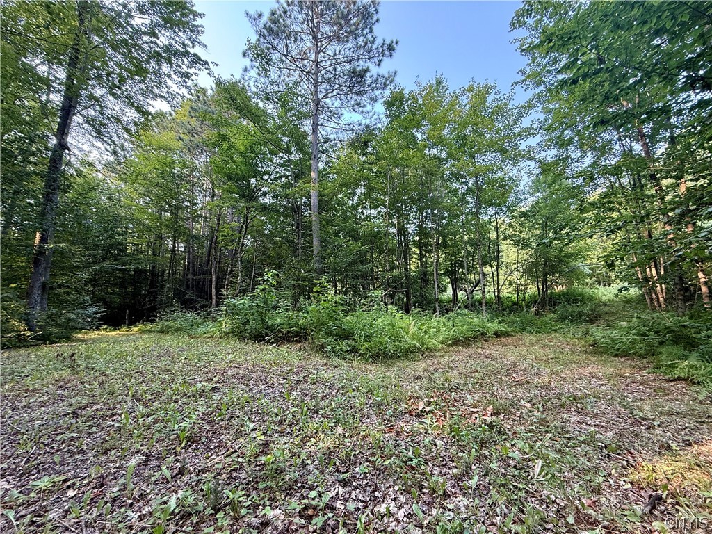 11470 River Road Florence, NY 13316 - Photo 2 of 13