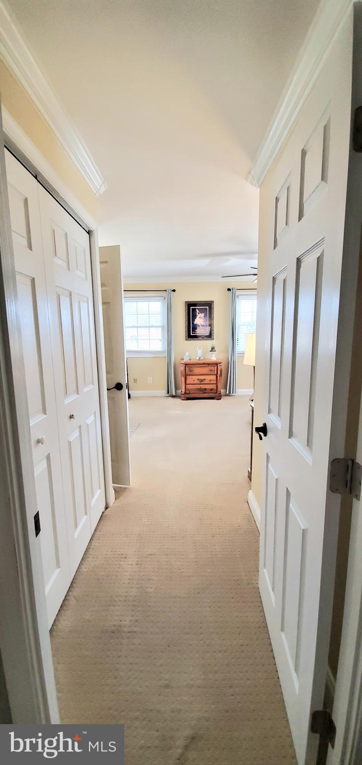 1203 Temfield Road Baltimore, MD 21286 - Photo 28 of 59