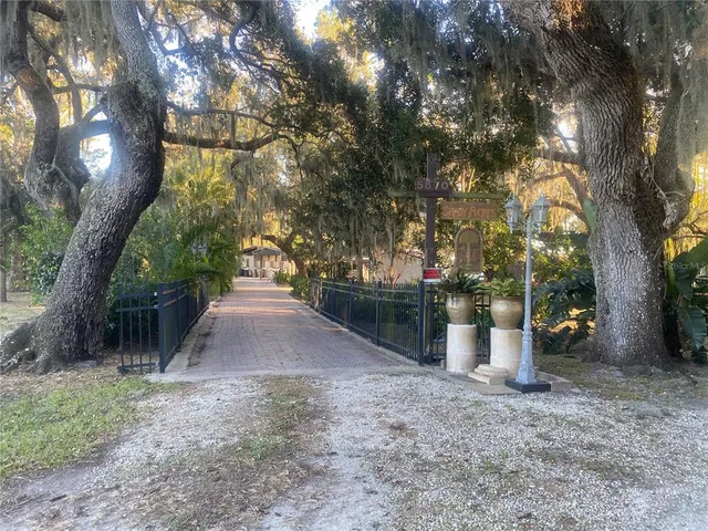 a view of a street with large trees