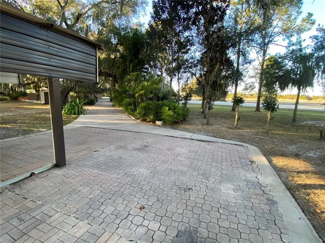 a view of a park with tree s