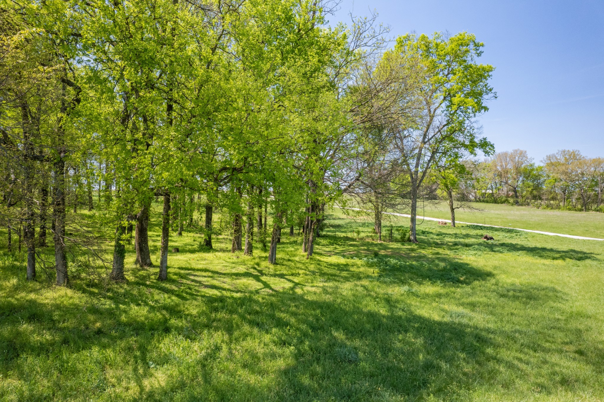 4 Old Zion Road Columbia, TN 38401 - Photo 66 of 67 Gallery Image 66