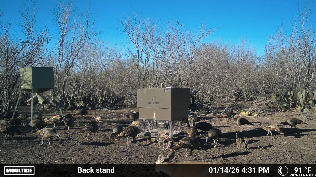 0 Cr 241 Three Rivers, TX 78071 - Photo 15 of 19
