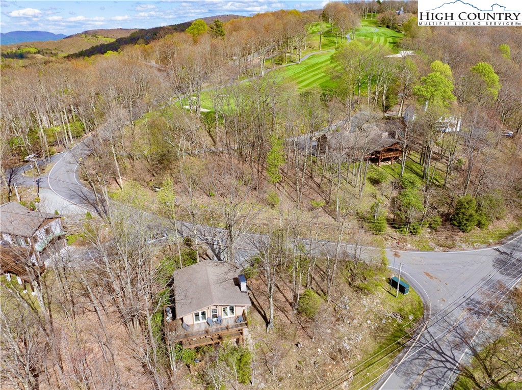 222 Grassy Gap Loop Road Beech Mountain, NC 28604 - Photo 3 of 45 Gallery Image 3