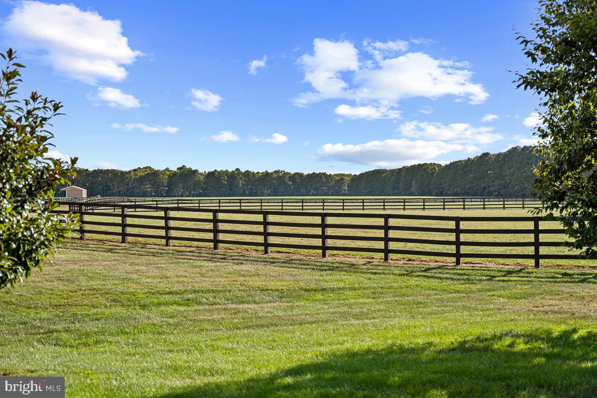 27772 Sharp Road Easton, MD 21601 - Photo 61 of 84 20 Acres Fenced Pastures