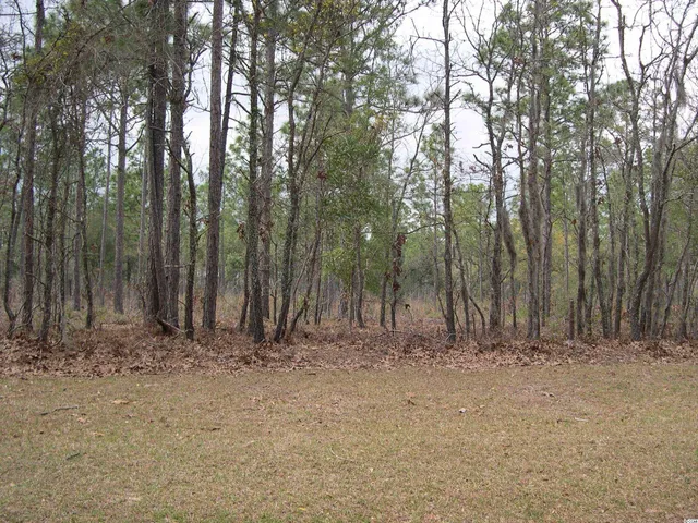 $54,000 | 184 Pineberry Drive, Georgetown, SC 29440