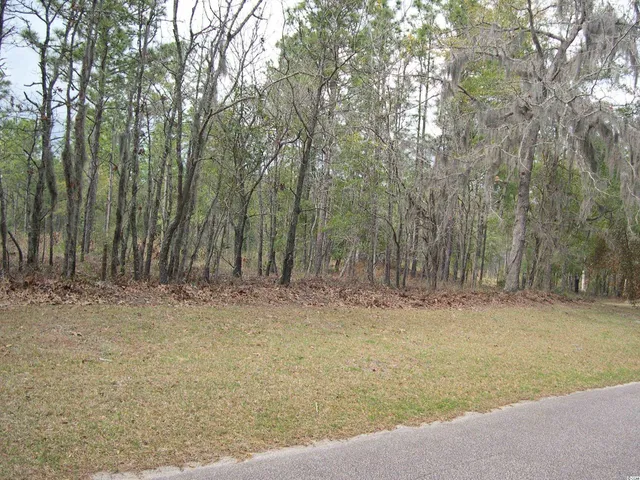 $54,000 | 184 Pineberry Drive, Georgetown, SC 29440