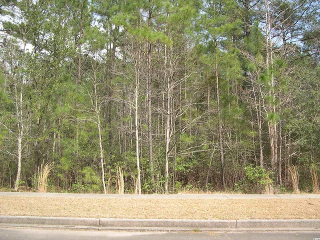 $54,000 | 184 Pineberry Drive, Georgetown, SC 29440