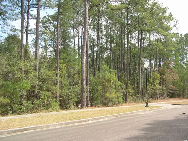 $54,000 | 184 Pineberry Drive, Georgetown, SC 29440