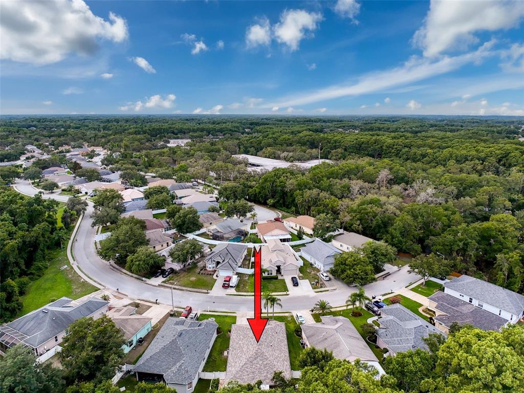 12200 Hunters Lake Drive New Port Richey, FL 34654 - Photo 5 of 92