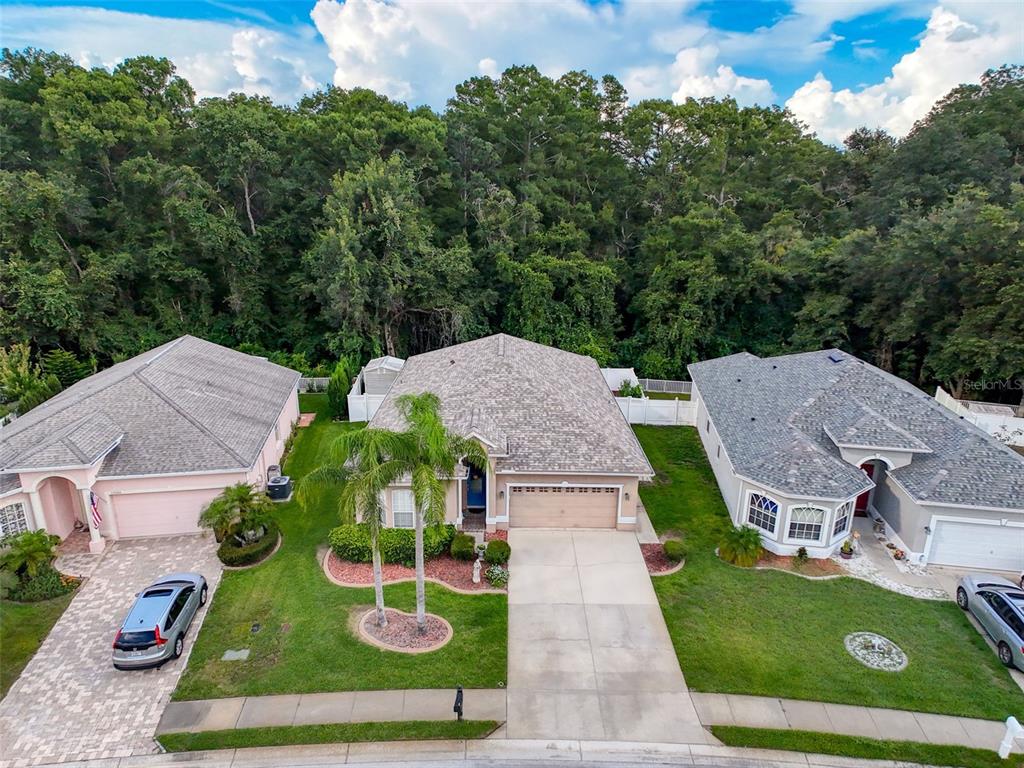 12200 Hunters Lake Drive New Port Richey, FL 34654 - Photo 78 of 92