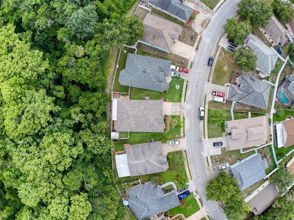 12200 Hunters Lake Drive New Port Richey, FL 34654 - Photo 85 of 92