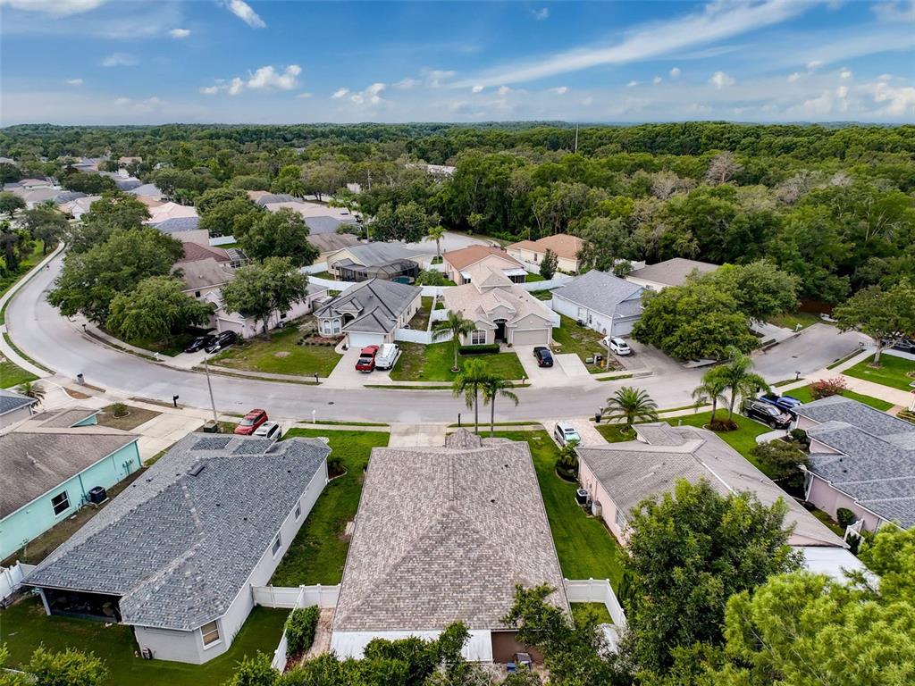 12200 Hunters Lake Drive New Port Richey, FL 34654 - Photo 86 of 92