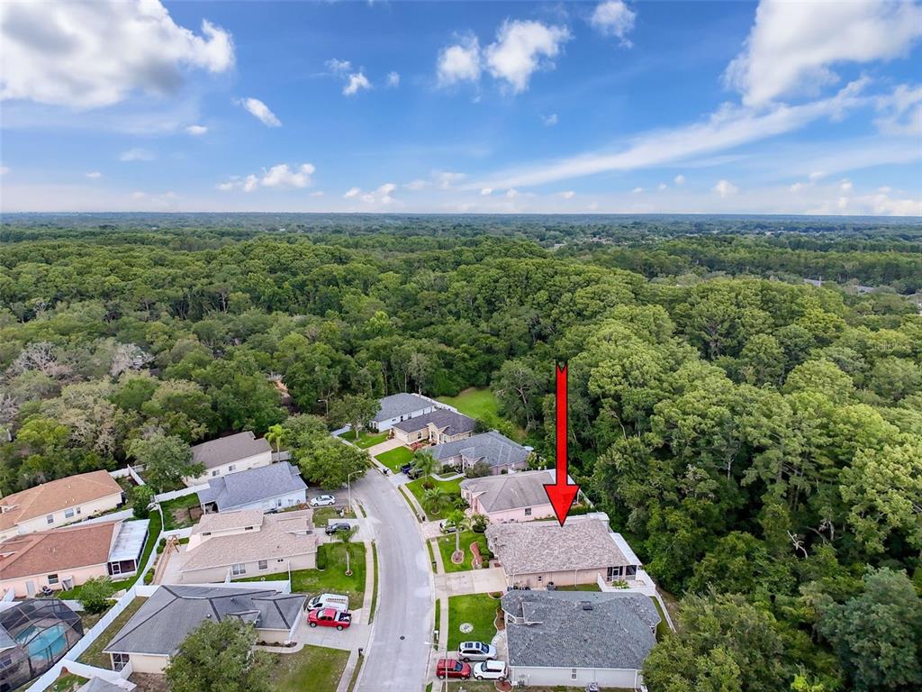 12200 Hunters Lake Drive New Port Richey, FL 34654 - Photo 88 of 92