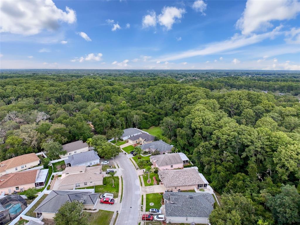 12200 Hunters Lake Drive New Port Richey, FL 34654 - Photo 89 of 92