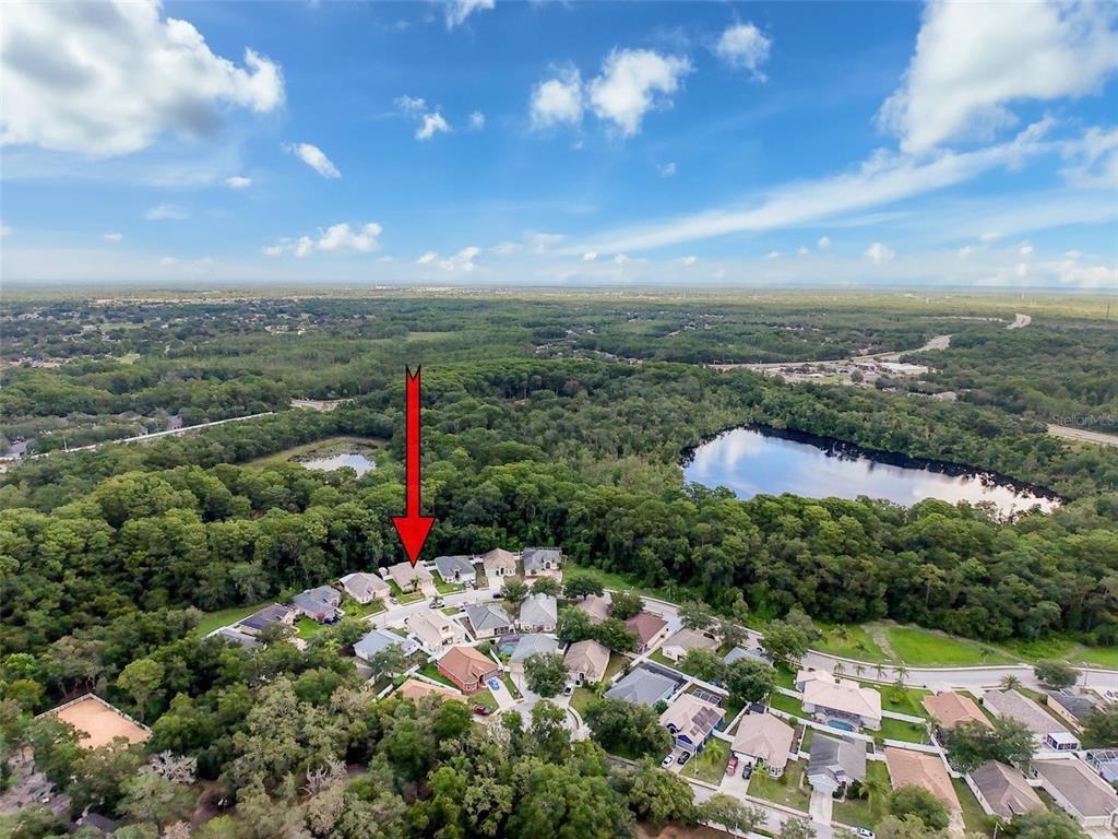 12200 Hunters Lake Drive New Port Richey, FL 34654 - Photo 90 of 92