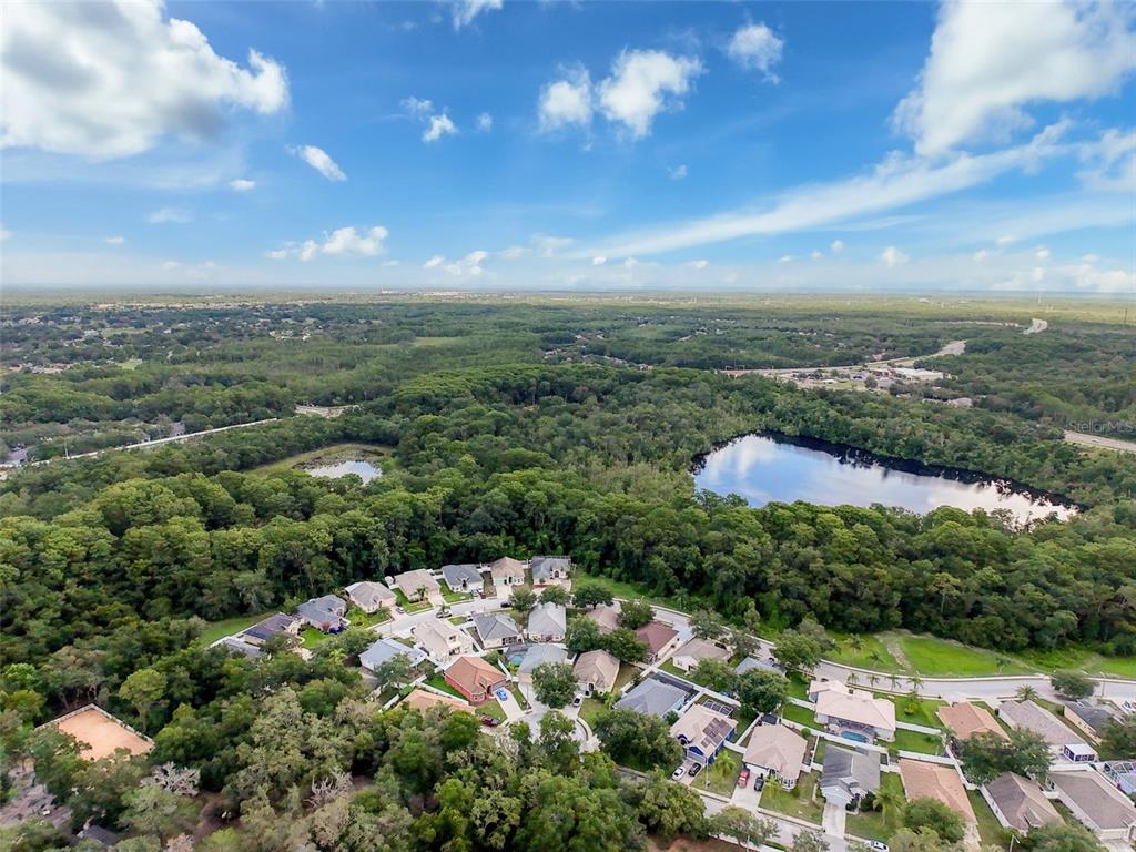 12200 Hunters Lake Drive New Port Richey, FL 34654 - Photo 91 of 92