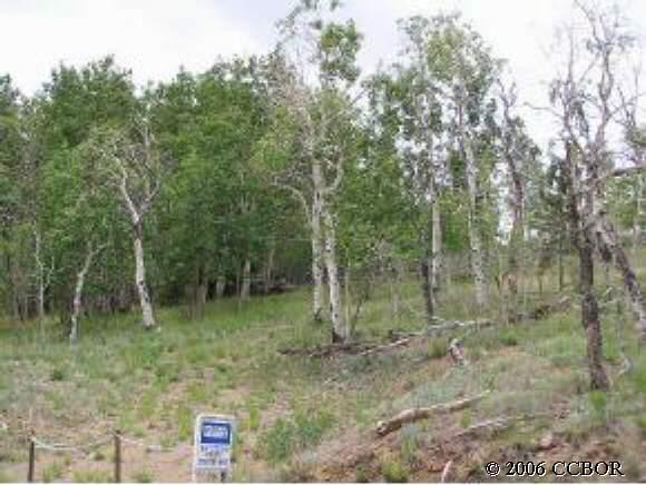 408 Blacksmith Road Hartsel, CO 80449 - Photo 1 of 1 Gallery Image 1