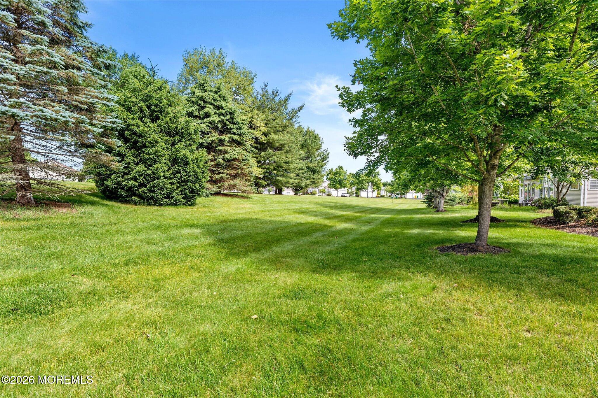 10 Powderhorn Way Allentown, NJ 08501 - Photo 25 of 27 a view of a trees with a big yard