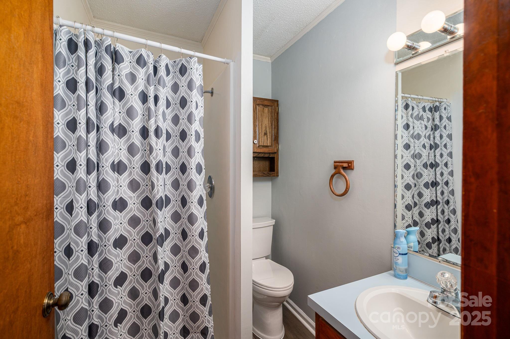 3076 Gates Road Lincolnton, NC 28092 - Photo 18 of 36 a bathroom with a toilet and a shower curtain